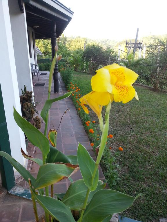 Kandy Holiday Home Экстерьер фото
